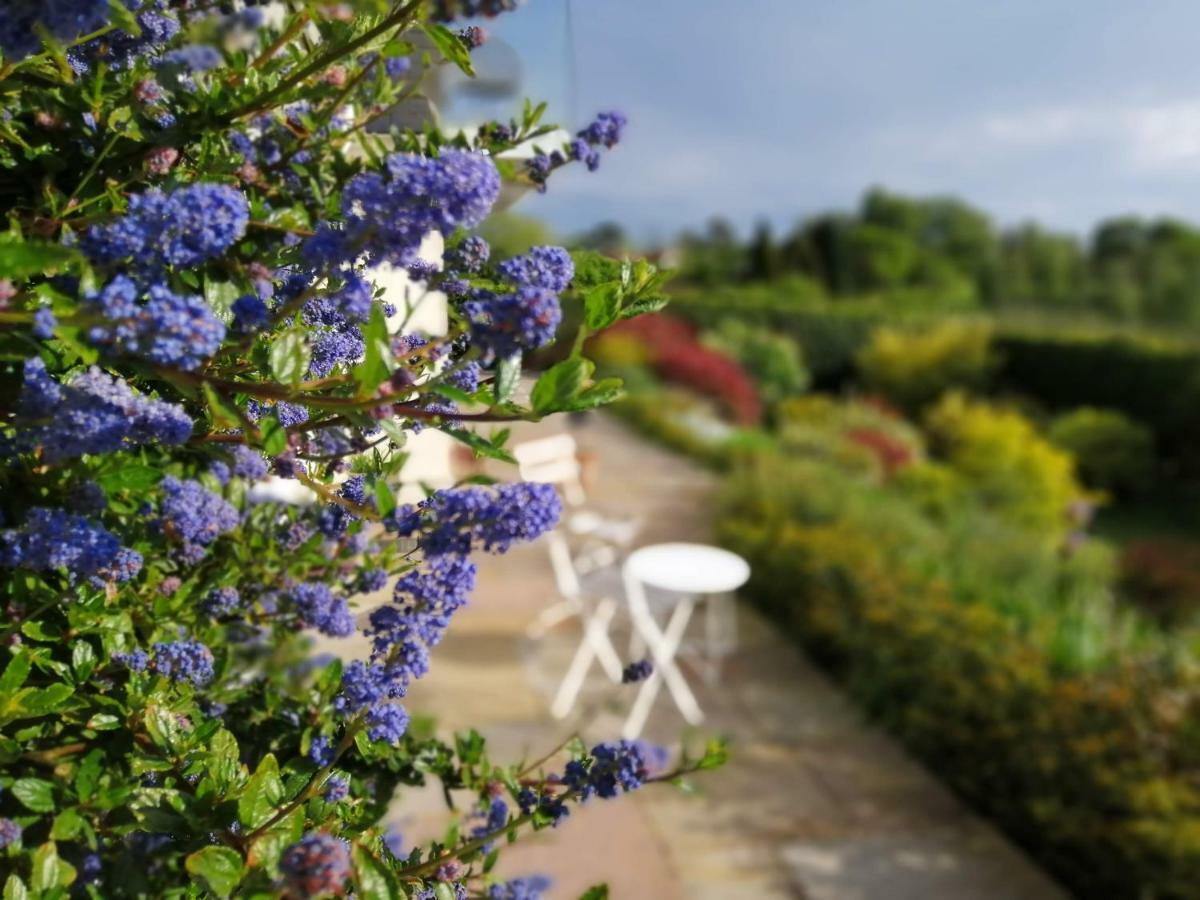 Meadow Cottage Bed & Breakfast Hawkhurst Exterior photo